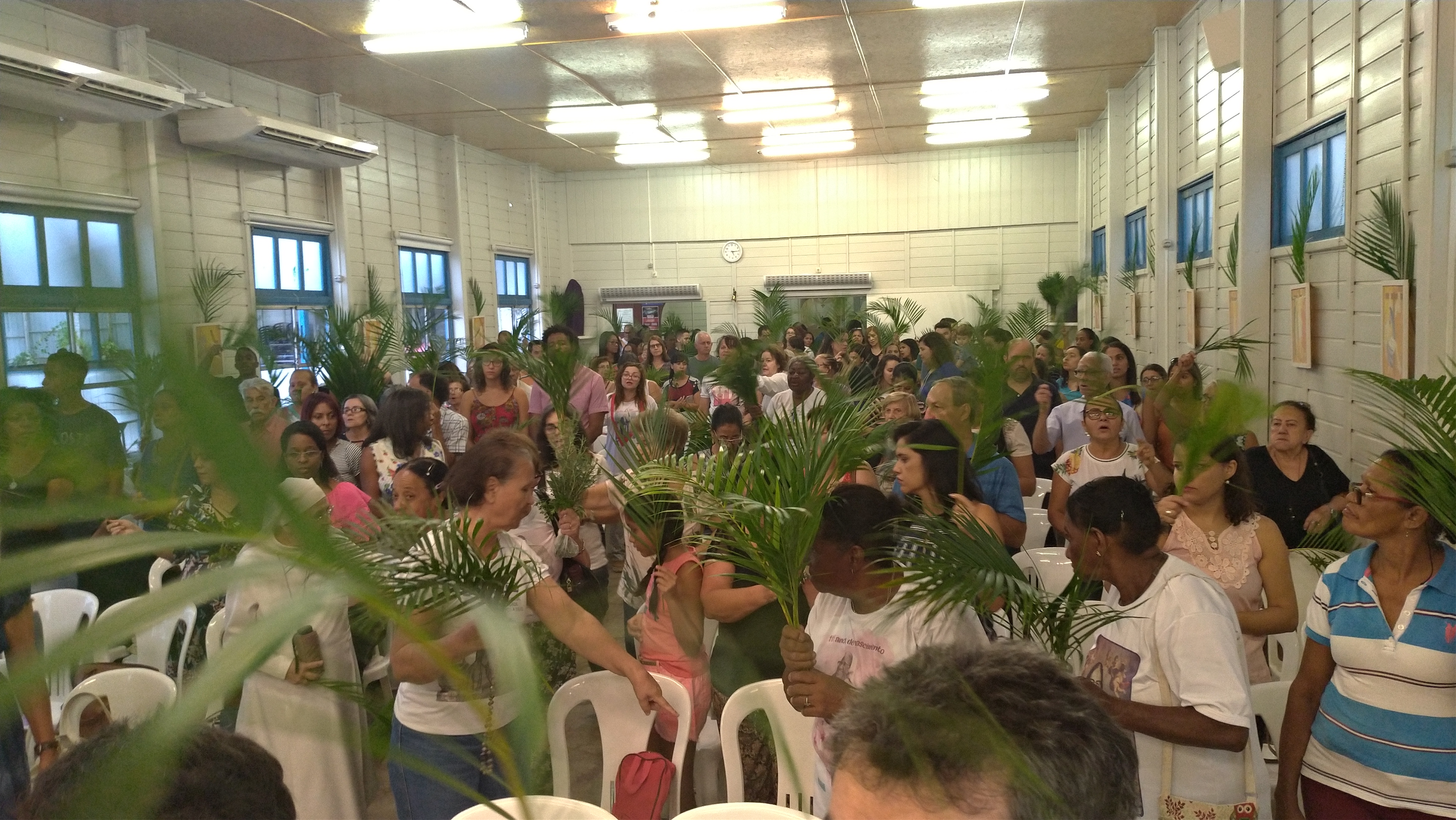 Começa a Semana Santa: celebrações do Domingo de Ramos