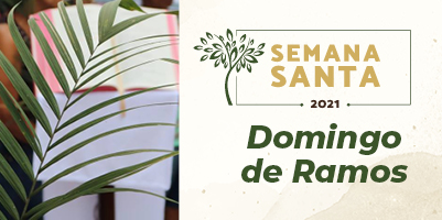 Celebrações do Domingo de Ramos com transmissão pelos meios de comunicação católicos