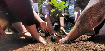 Junho verde: mês dedicado à ecologia integral é vivenciado na Arquidiocese de BH