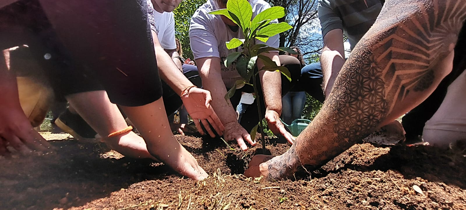 Junho verde: mês dedicado à ecologia integral é vivenciado na Arquidiocese de BH