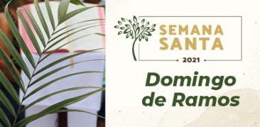 Celebrações do Domingo de Ramos com transmissão pelos meios de comunicação católicos