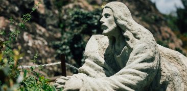 A vivência da fé em Jesus Cristo – artigo de Neuza Silveira