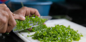 Dai-lhes vós mesmos de comer: na Catedral Cristo Rei horta agroecológica leva mais sabor às refeições