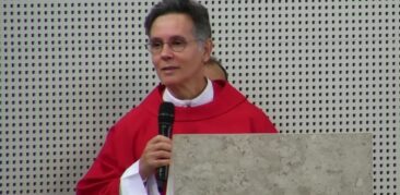 Homilia dominical: “Contemplar as colunas da Igreja”