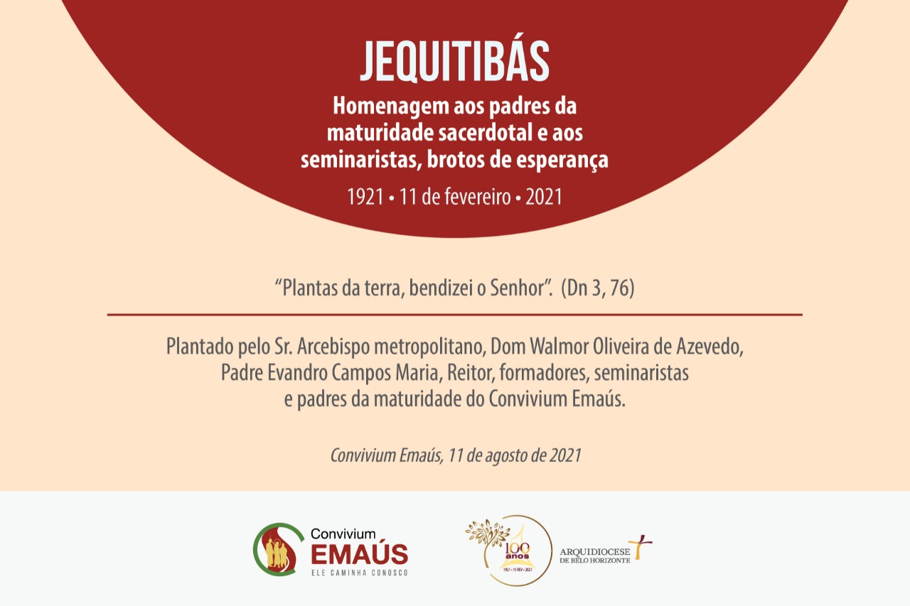 Plantio de Jequitibás marcará centenário da Arquidiocese no Convivium Emaús