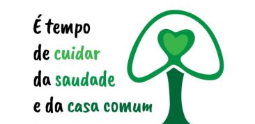 CNBB convida brasileiros a plantarem uma Árvore no dia de Finados em memória dos que se foram