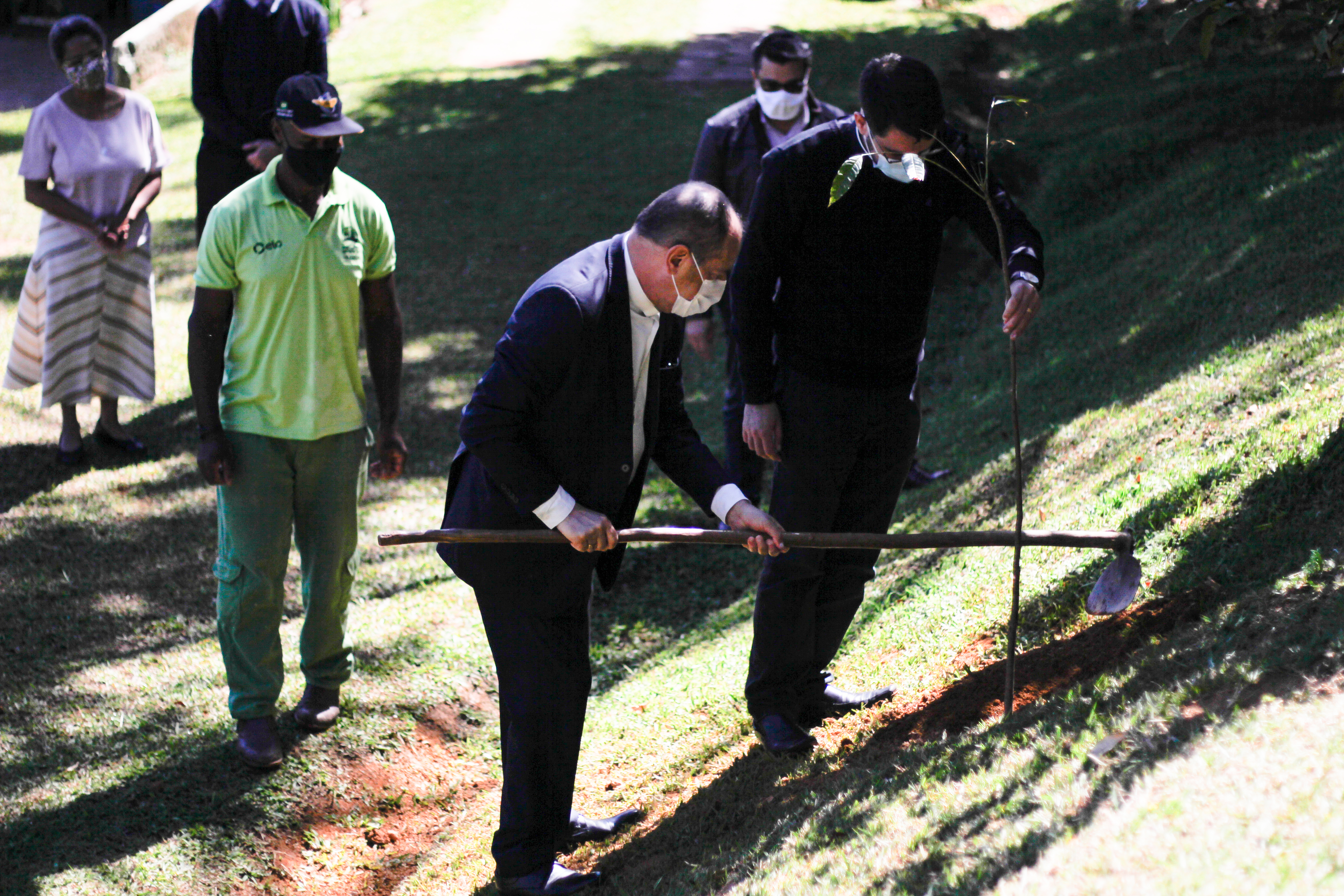 Dom Walmor planta mudas de jequitibá no território do Santuário da Padroeira de Minas