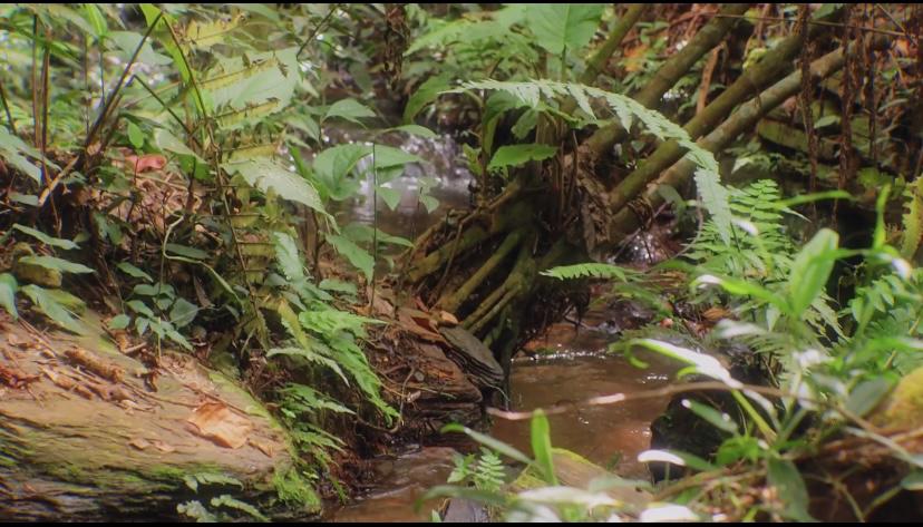 Refresque o seu coração no Santuário da Mãe Piedade