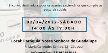 Rede Articulação da Solidariedade e o Setor Social, Político e Ambiental da Rensc