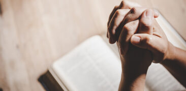 [Artigo] Catequese com adultos – Neuza Silveira