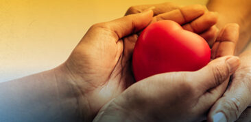 Veap disponibiliza subsídio para celebrar o Domingo do Dízimo – 12 de maio