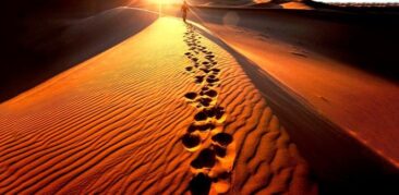 [Artigo] Quaresma: Tempo de conversão da Igreja – Neuza Silveira