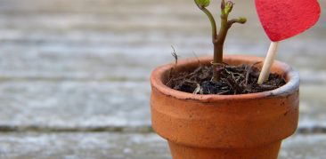 Missa em Ação de Graças pelos Dizimistas