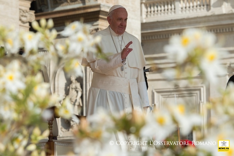 Papa Francisco: 80 anos de vida