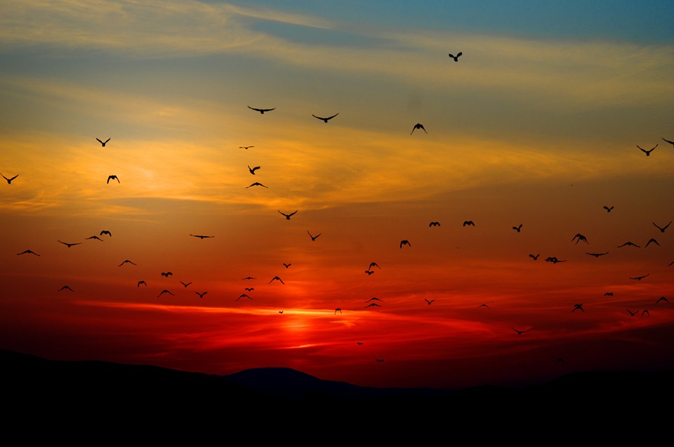 HORIZONTES DE ESPERANÇA