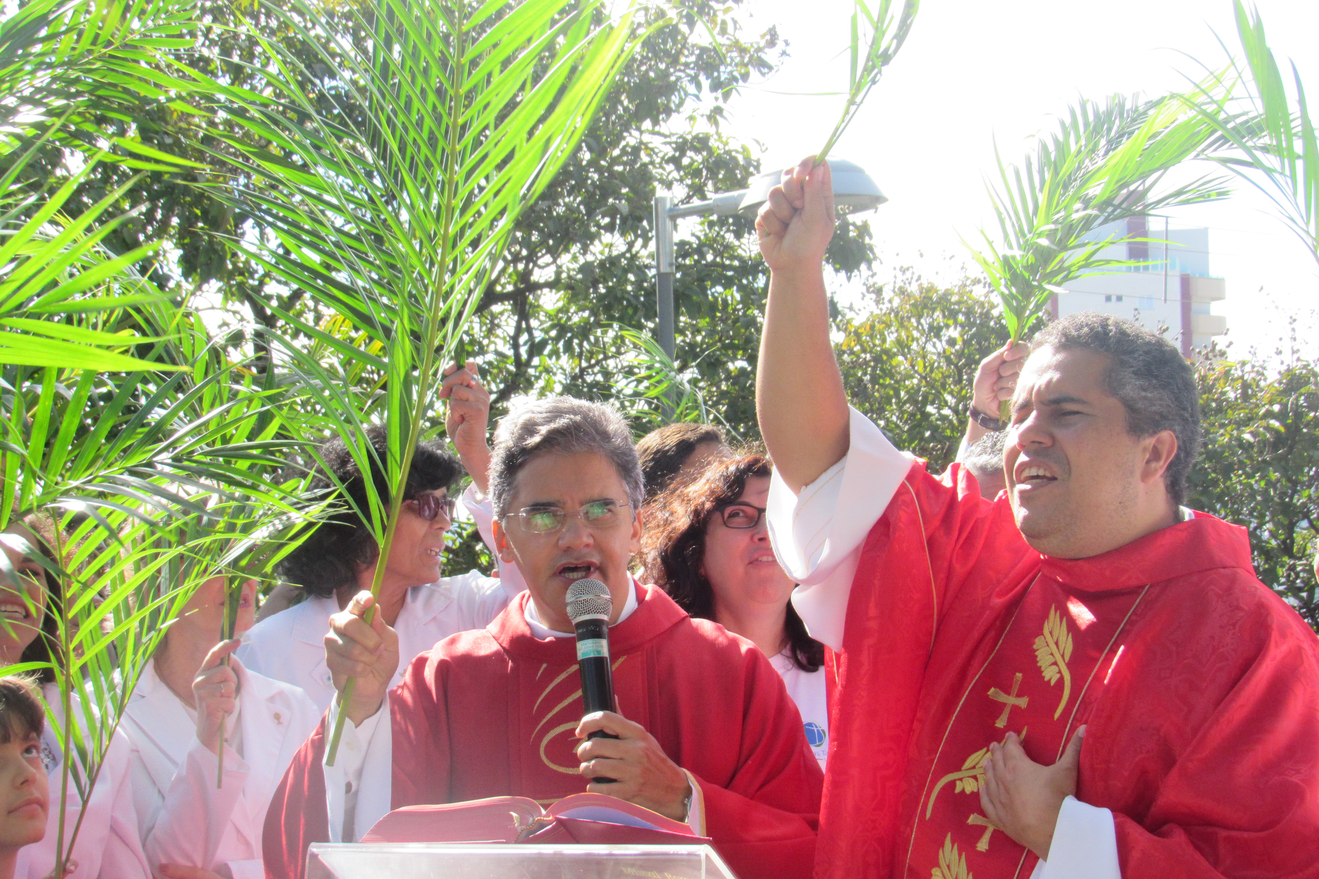 Fiéis celebram Domingo de Ramos