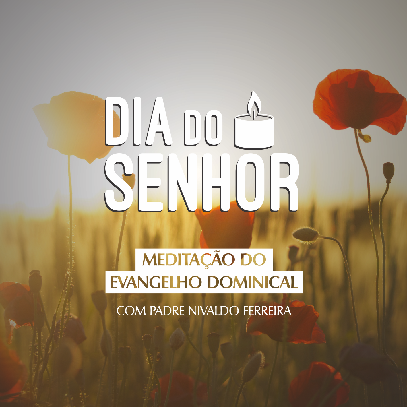 Dia do Senhor: acompanhe a meditação do Evangelho deste domingo com Padre Nivaldo Ferreira