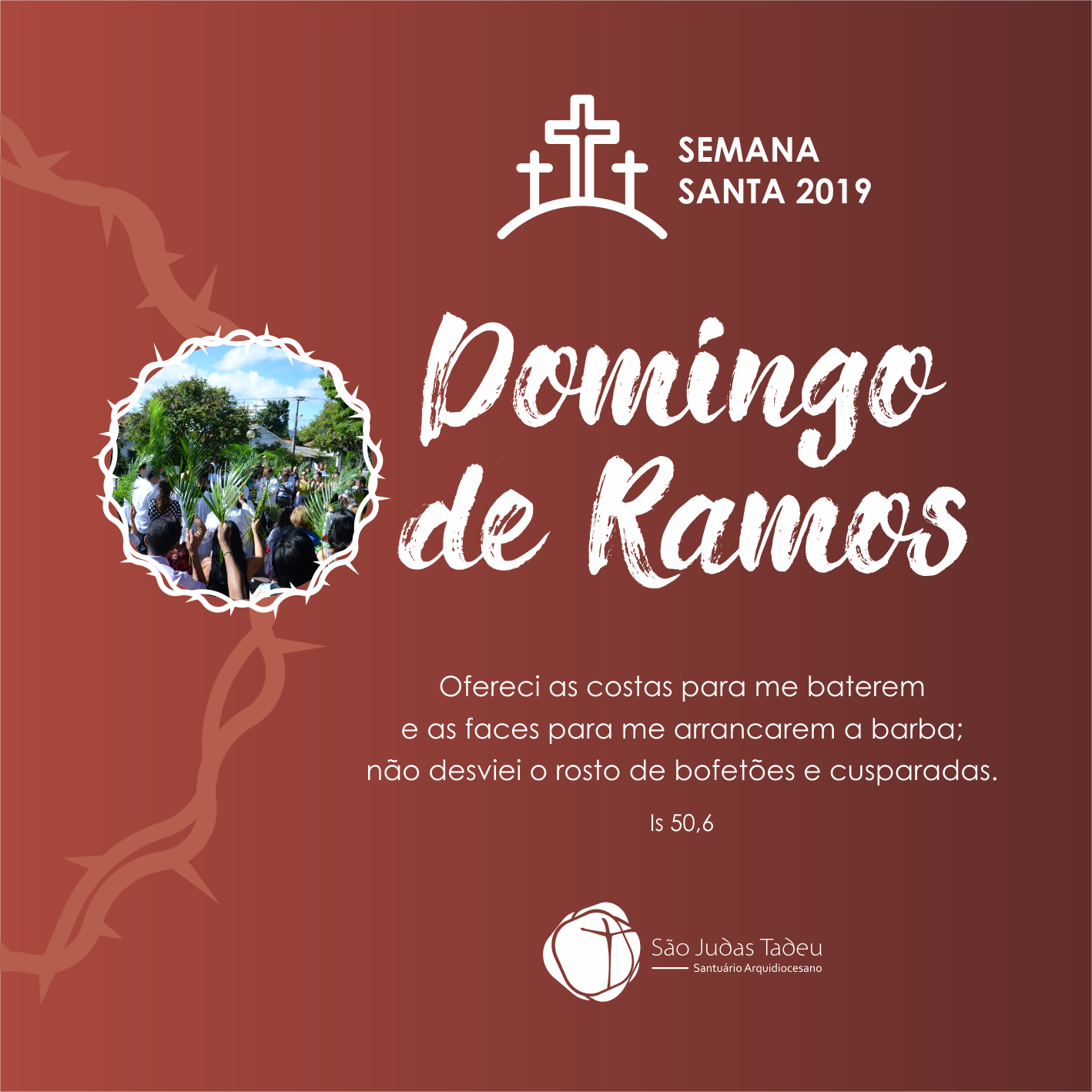 Bênçãos dos Ramos e procissão marcam início da Semana Santa no Santuário São Judas Tadeu