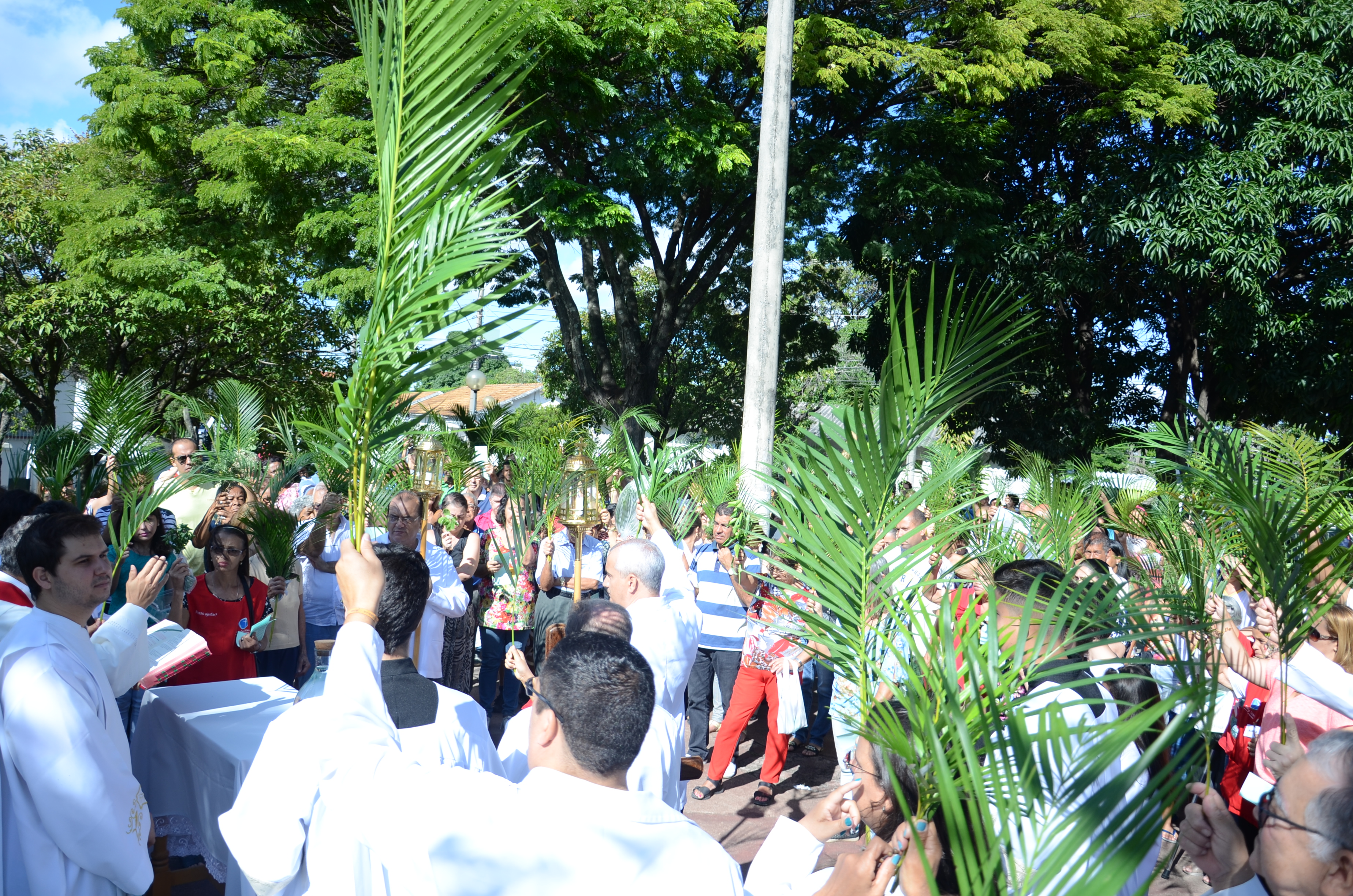 Domingo de Ramos: Jesus só precisou de um jumentinho