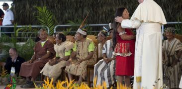 Sínodo Amazônico: momento de graça e de esperança para a Igreja e a sociedade