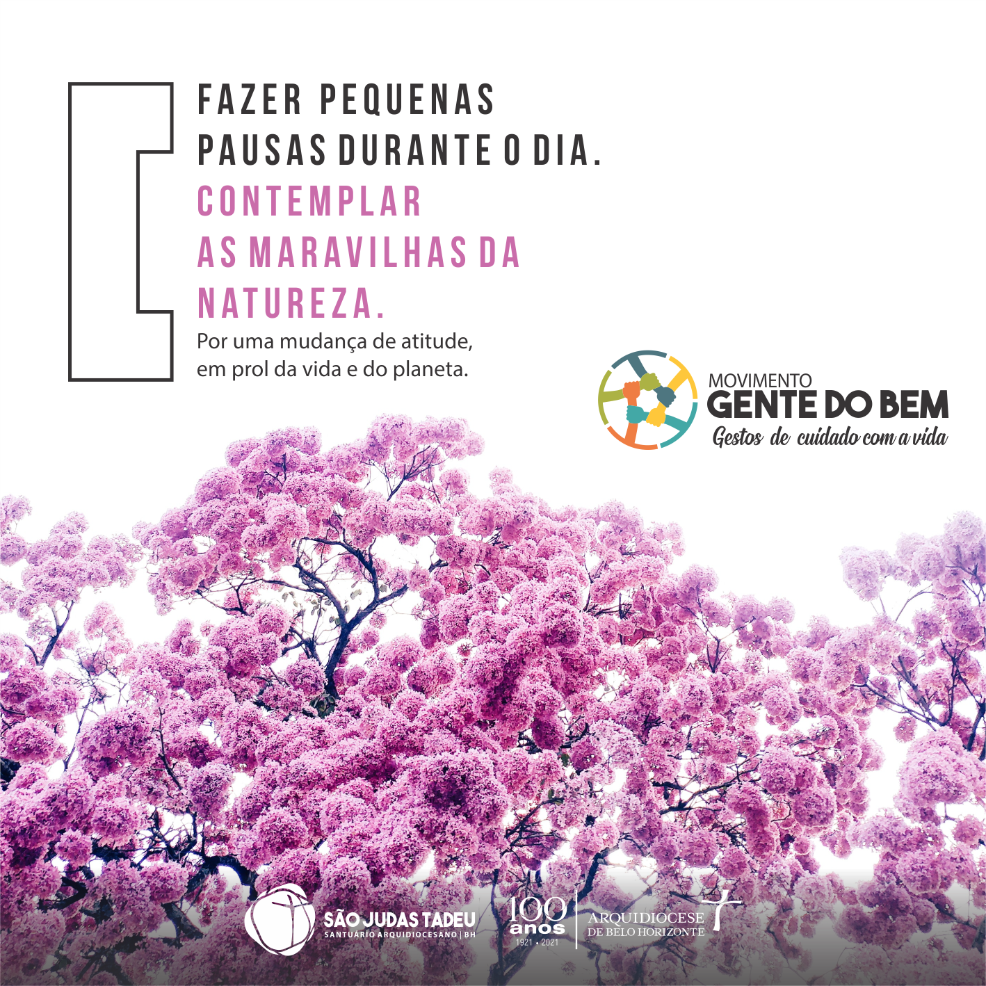 Movimento Gente do Bem: participe dos propósitos desta semana