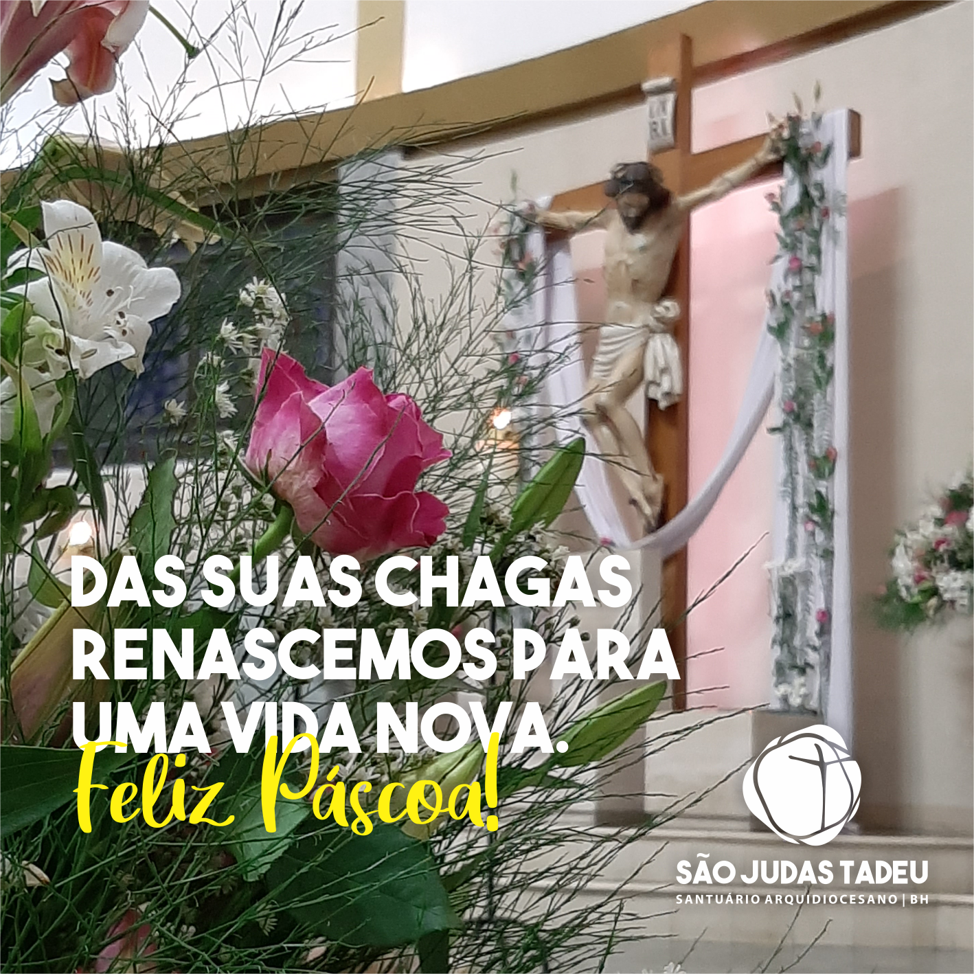 O Santuário Arquidiocesano São Judas Tadeu deseja a todos e todas uma Feliz Páscoa!!!