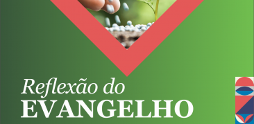 Reflexão do Evangelho – Homilia de Pe. Nivaldo Ferreira