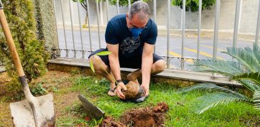 No dia de Finados, Santuário realiza plantio de árvores, em sintonia com a campanha “É Tempo de Cuidar da Saudade e da Casa Comum”