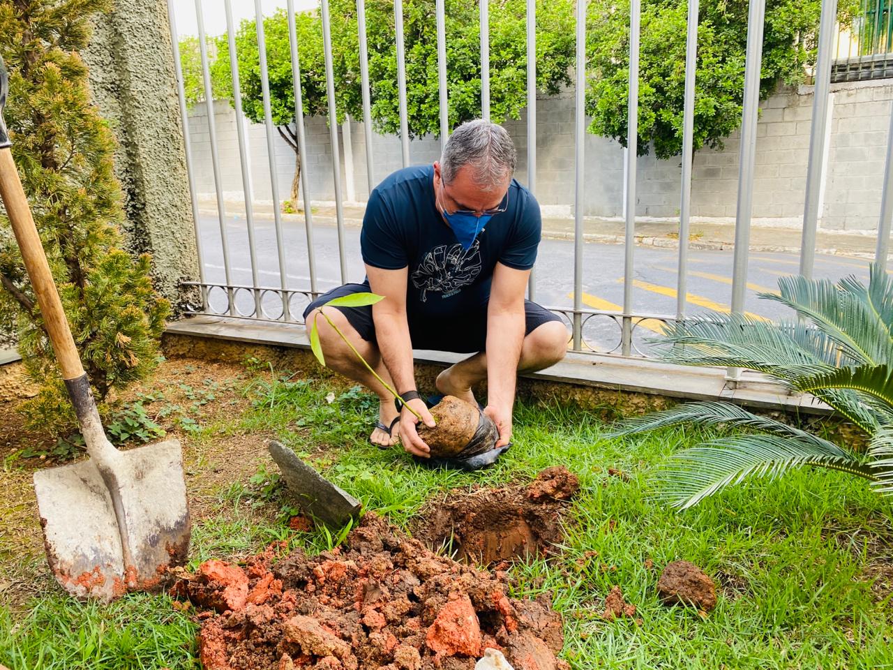 No dia de Finados, Santuário realiza plantio de árvores, em sintonia com a campanha “É Tempo de Cuidar da Saudade e da Casa Comum”