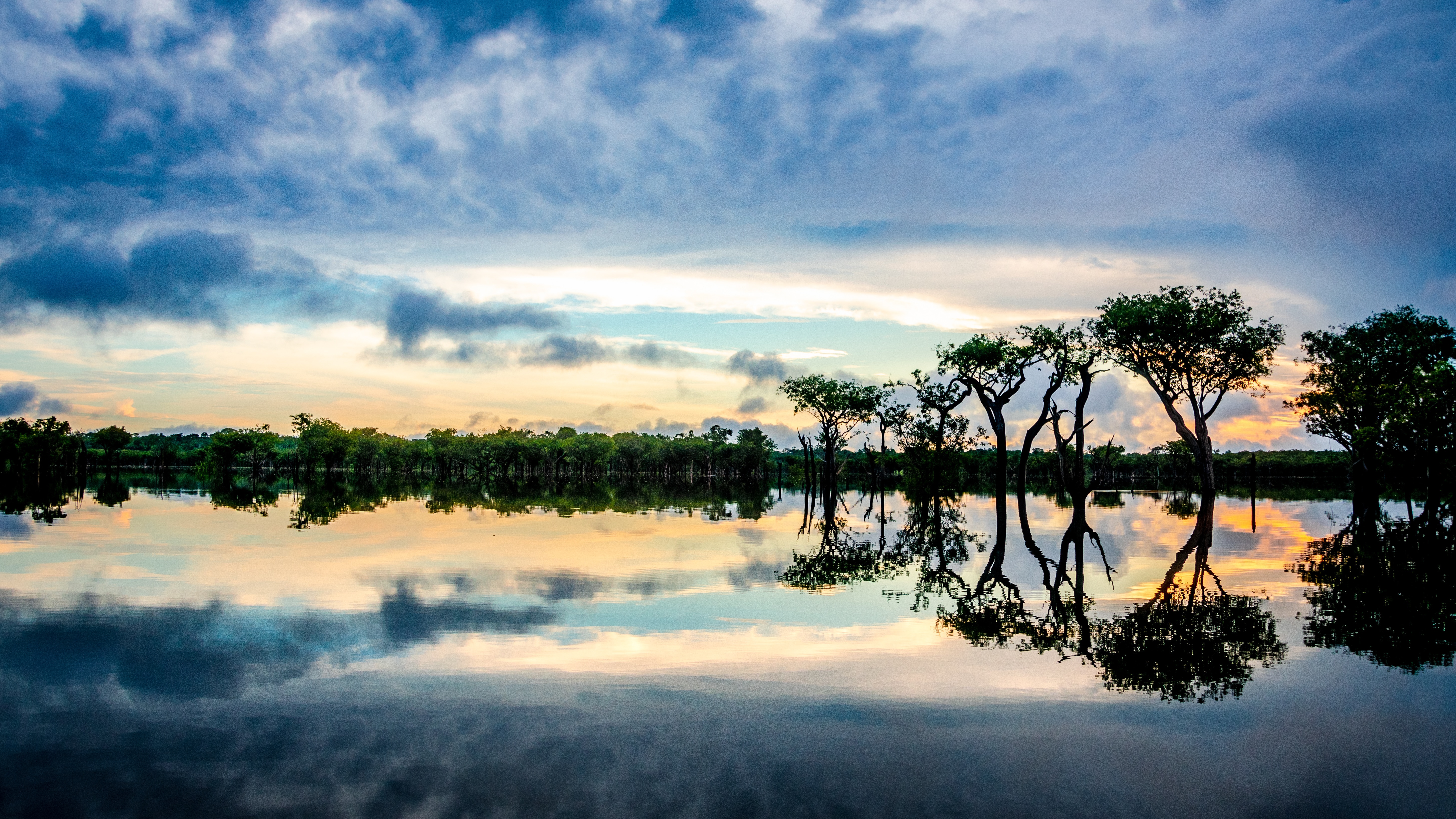 O Sínodo da Amazônia e o futuro de toda a criação