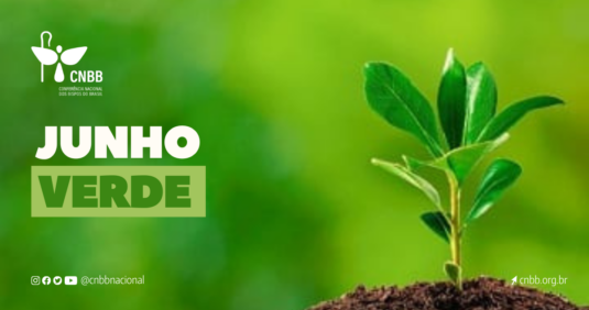 Dia Mundial do Meio Ambiente: CNBB relembra importância da “Campanha Junho Verde”