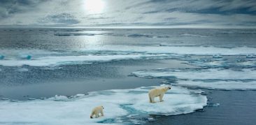 Anima PUC Minas: palestra sobre mudanças climáticas com o teólogo frei Luiz Carlos Susin