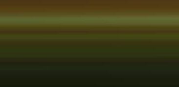 Fiéis plantam mudas de árvore no Parque Ursulina de Andrade Mello