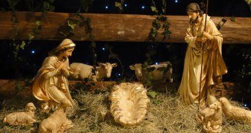 [Artigo] Natal, celebração do amor-Neuza Silveira, Secretariado Arquidiocesano Bíblico-Catequético de BH