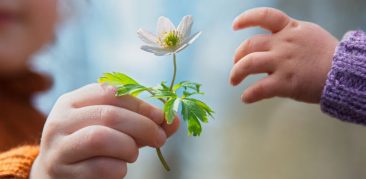 Live na PUC Minas reflete sobre a encíclica Laudato Si, do Papa Francisco – 14 de junho