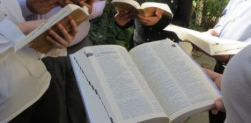 [Artigo]Uma catequese querigmática e evangelizadora -Neuza Silveira, Secretariado Arquidiocesano Bíblico-Catequético de BH