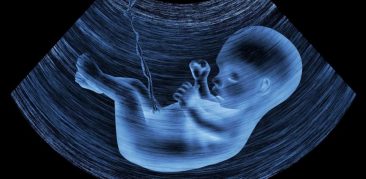 Contra o aborto: CNBB publica mensagem reafirmando o seu compromisso com a defesa incondicional da vida humana