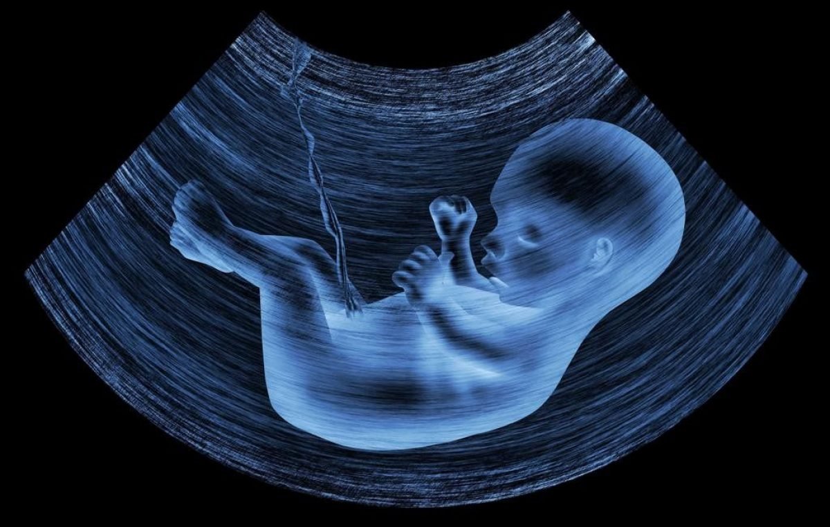 Contra o aborto: CNBB publica mensagem reafirmando o seu compromisso com a defesa incondicional da vida humana