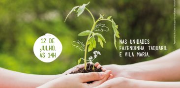 Preservando o planeta: plante uma árvore com as crianças do Projeto Providência