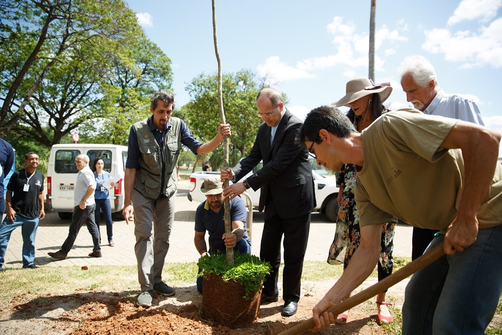 Dom Walmor faz plantio simbólico de árvore na reabertura da Igreja São Francisco de Assis