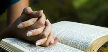 [Artigo] A Palavra de Deus deve ser estudada – Neuza Silveira, Secretariado Arquidiocesano Bíblico-Catequético de Belo Horizonte