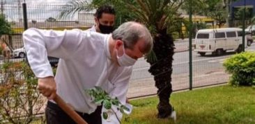 Programação pelo Dia de Finados: dom Vicente planta muda de árvore na Cúria Regional da Rensa