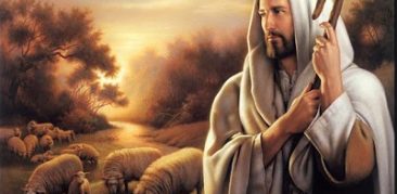 [Artigo] O Senhor é pastor que nos conduz – Neuza Silveira