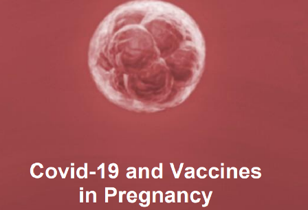Professor da PUC Minas, diácono Paulo Franco Taitson publica livro sobre as vacinas contra a Covid-19 na gravidez