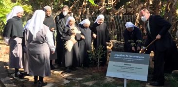 Centenário da Arquidiocese: Dom Walmor planta mudas de jequtibá no Mosteiro N.S. das Graças e na Paróquia São Bento