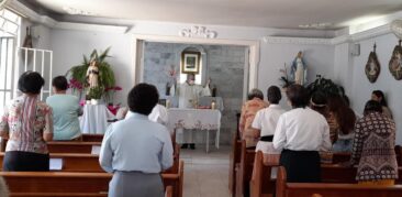 Vigário episcopal do Veaspam, Padre Júlio Amaral, celebra Missa na Casa Santa Zita