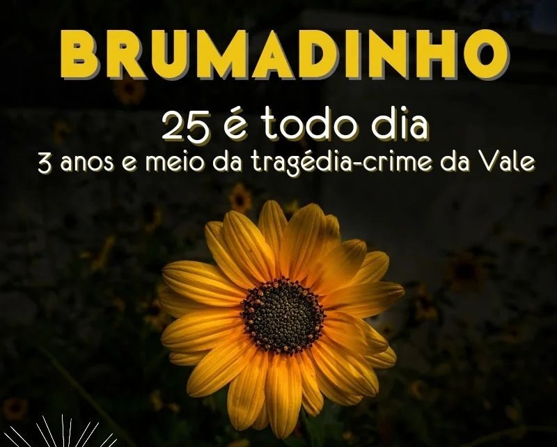 25 é todo dia: Missa em memória, justiça e esperança pelas vítimas da tragédia de Brumadinho