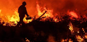 Dia da Criação: Papa convida o povo de Deus a defender o meio ambiente