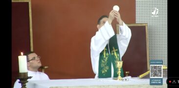 Homilia dominical: “Testemunhar a fé em Jesus a partir da solidariedade”