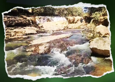 Renser: Grupo Semeadores da Laudato Sì promove encontro especial com visita às nascentes e à cachoeira